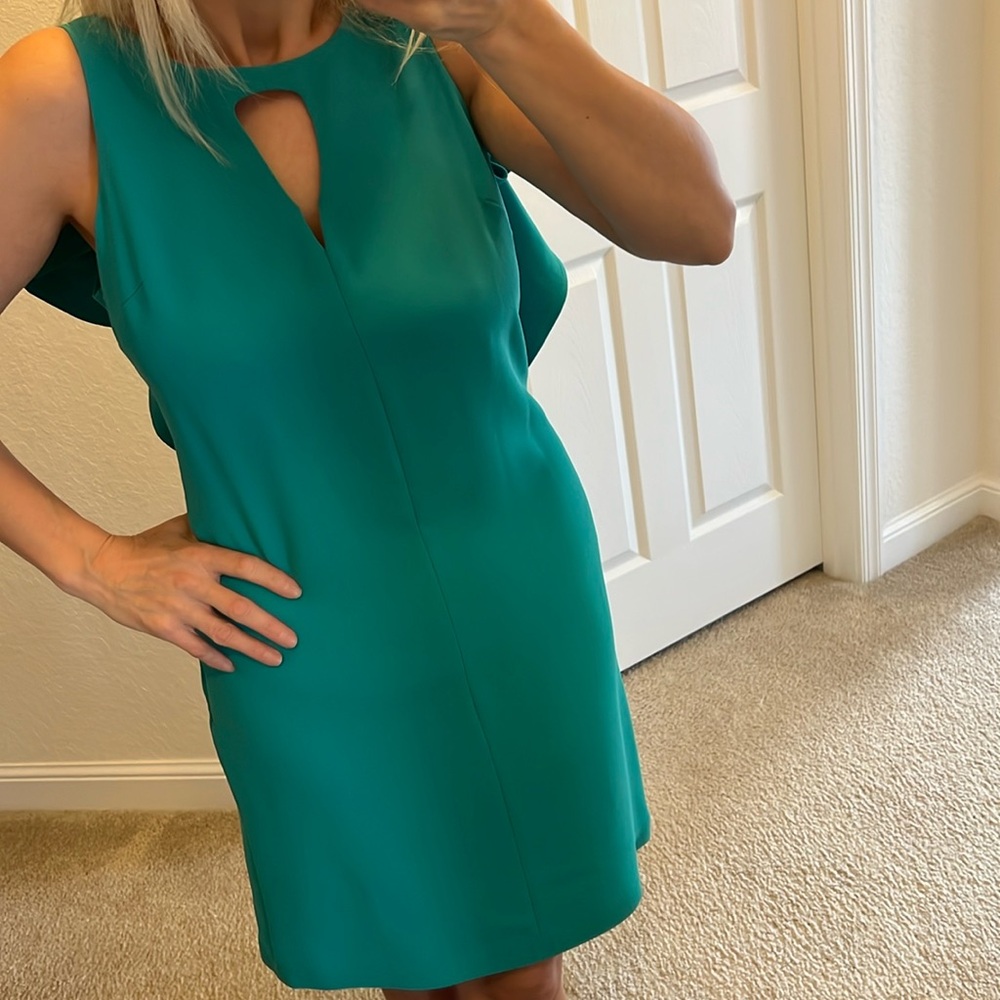 🪷RACHEL RACHEL ROY 🪷 beautiful Atlantis dress with golden zipper and open back . - Picture 7 of 16